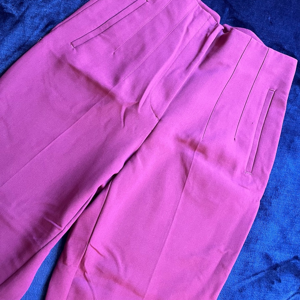 Zara High Waisted Purple Pants